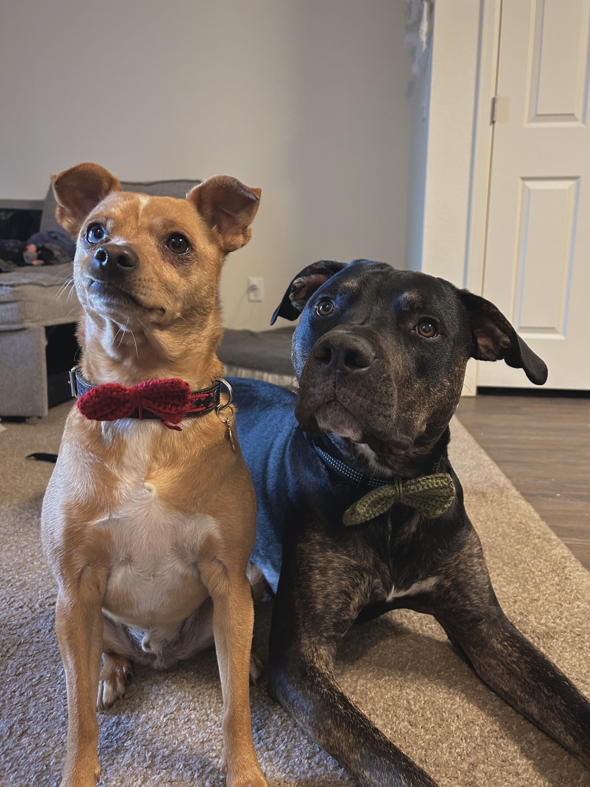 Atlas and Apollo